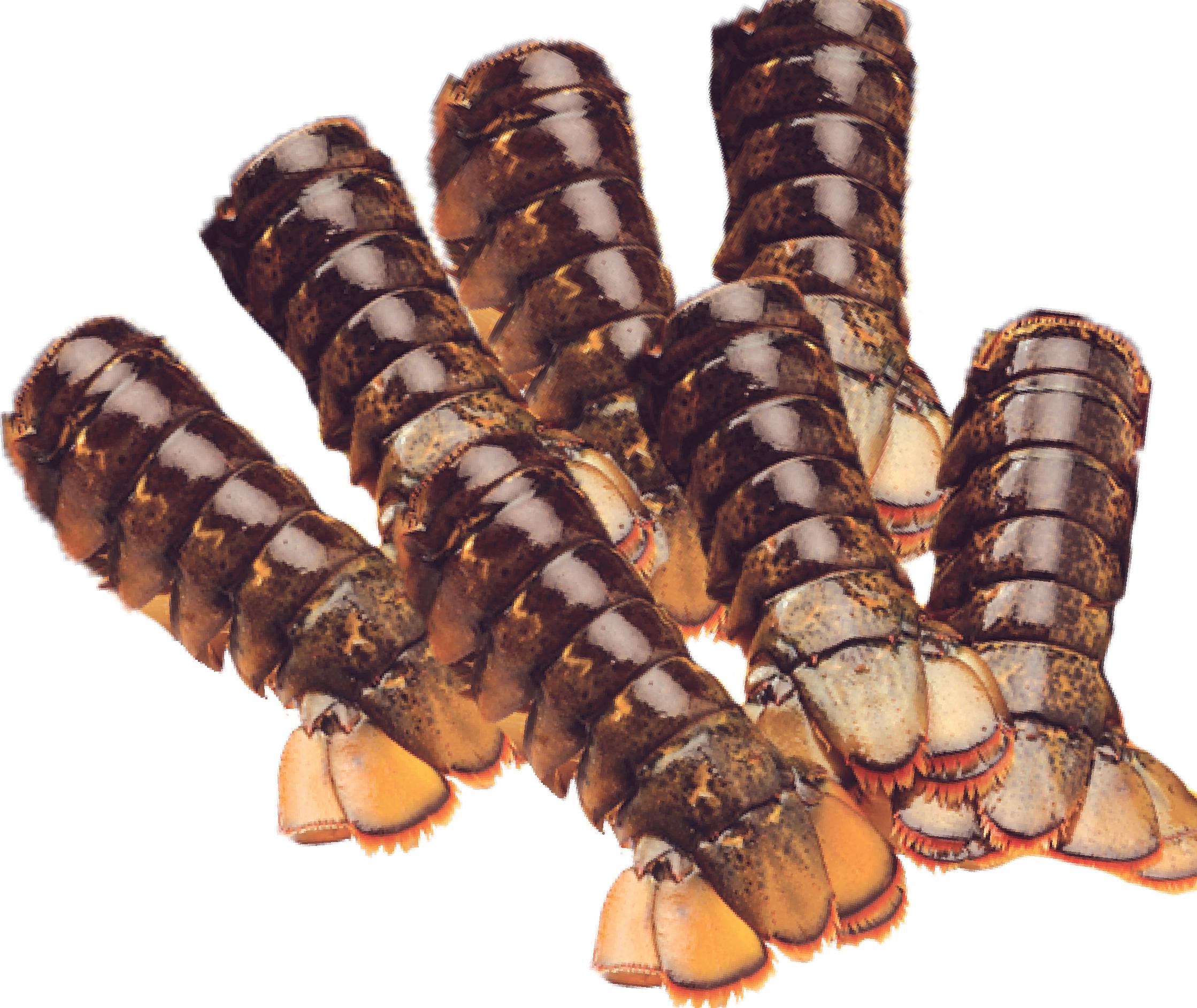 [OS-61] Lobster Tail [with shell/ uncooked] 7pcs 700g