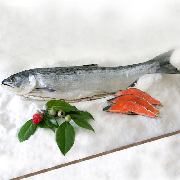 [SH-25] 冷凍塩鮭 [紅] 尾頭付 (L) 2.0-2.3kg [数量限定220本]
