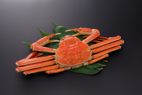 [OS-28] Boiled Snow Crab 700g