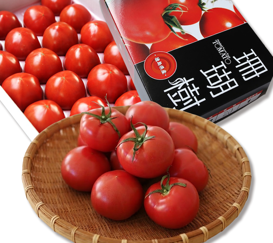 [MF-04] 母の日 / 父の日ギフト 徳島産「珊瑚樹トマト」特選（糖度8〜10°）